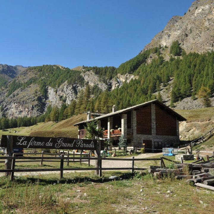 Agritourisme La Ferme du Grand Paradis (Valnontey)